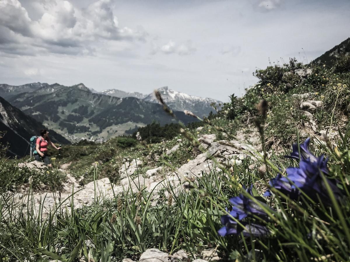 Wandern im Kleinwalsertal | Hotel Walserhof im Kleinwalsertal