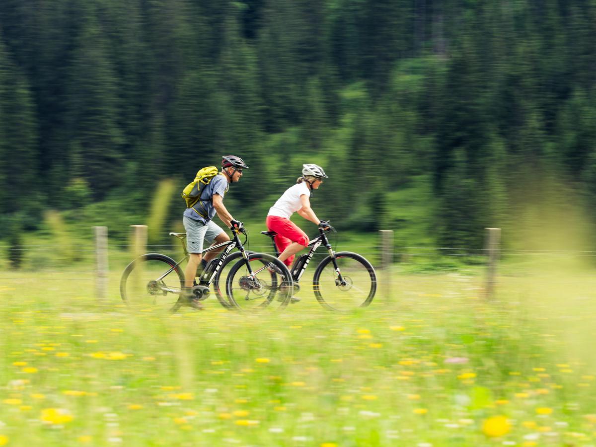 Bikeverleih Kleinwalsertal